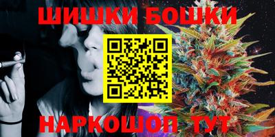 МДПВ Будённовск